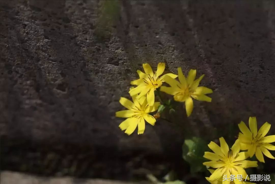 nisi耐司滤镜,nisi耐司滤镜钻石版