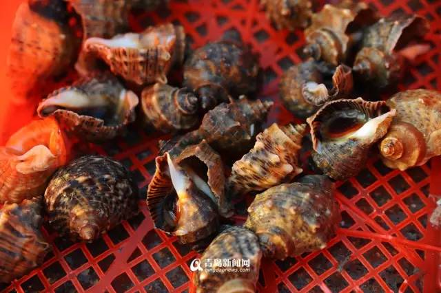 青岛海鲜一锅蒸,青岛必吃的海鲜做法