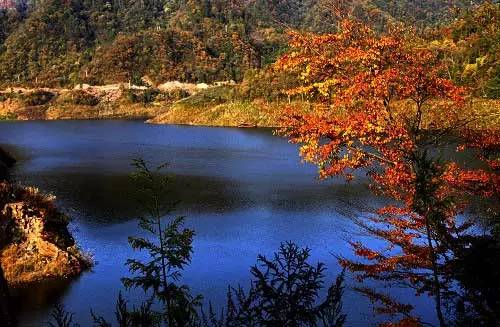 中国秋色最美的五个地方,邂逅国内各地绝美秋色