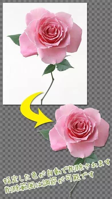 好用到哭的修图app,霓虹的软件