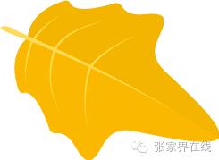 影像张家界季节篇：深秋的印记