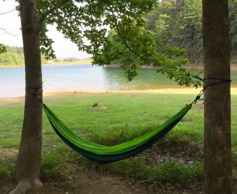 漫山蓝莓田、黑松林之间，这100户人家的乌托邦，邀你来做“后天亲人”