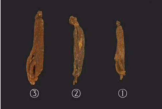 瓒呰秺璐濈埛鐨勮崚閲庢眰鐢熷畬鏁寸増,瓒呰秺璐濈埛