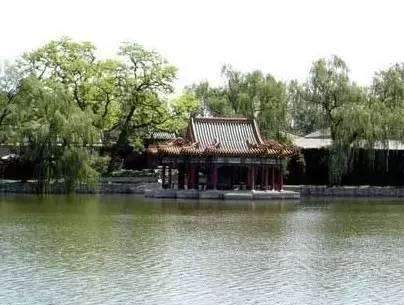 她关注|神秘的中南海，原来是这样！