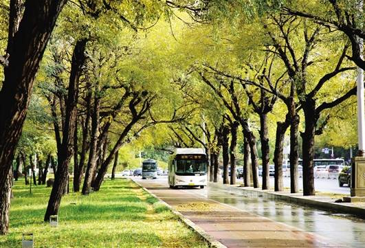 一男童被铁围栏砸中头部,6岁男童被砸最新