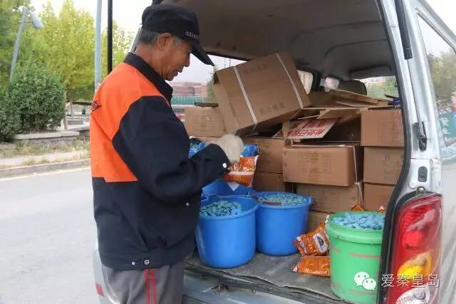 海港区灭四害,海港区专业除四害