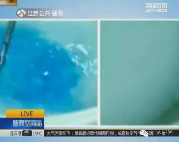 白萝卜切开是蓝心,白萝卜切开蓝心能吃吗