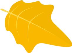 赣州市美景,赣州景致