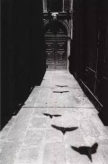 开膛手杰克杀人狂,开膛手杰克重现