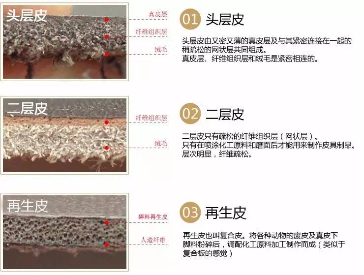 怎么辨别皮革的真假,皮革分类以及辨别标准