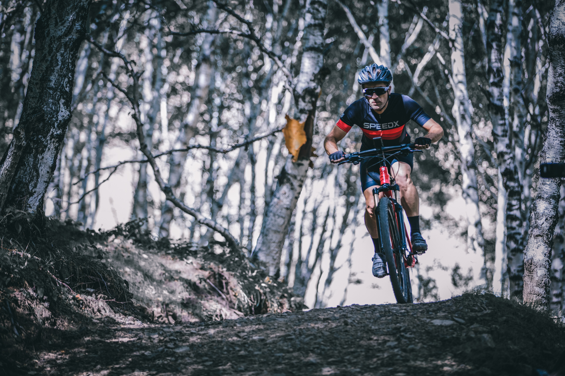 智能自行车未来,未来的智能自行车