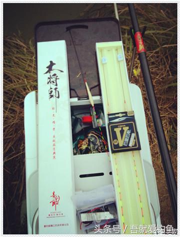 大将师来干家塘有鲤有鲫好鱼情