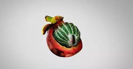 刷牙牙龈出血怎么治,刷牙爱出血口臭