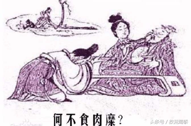 孙俪的善良太愚蠢，倒像晋惠帝的“百姓无栗米充饥，何不食肉糜”