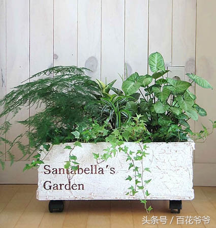 废旧箱子如何改造好看图片,废旧箱子改造翻新创意