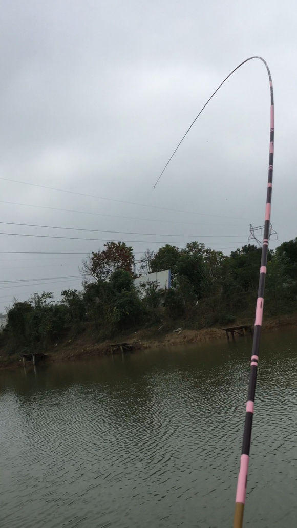 新手钓鱼，用2000的竿子，值不值？