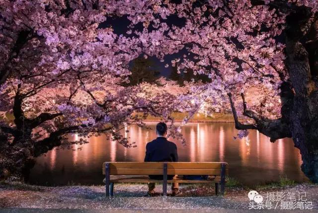 10月摄影笔记照片点评合集