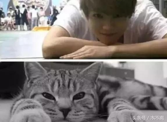 鹿晗对你心动的瞬间,鹿晗的对你爱不完