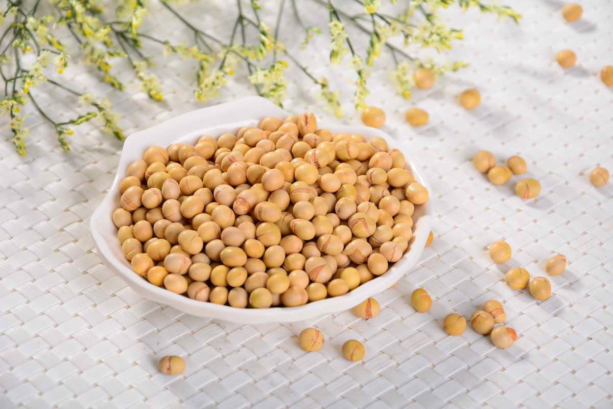 喝豆浆会出现什么病,喝豆浆身体会发生什么