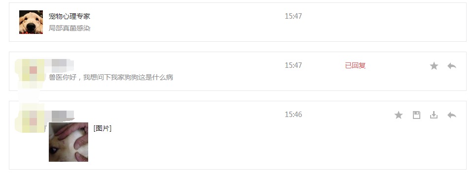 令人苦恼的皮肤病,狗狗皮肤病太闹心