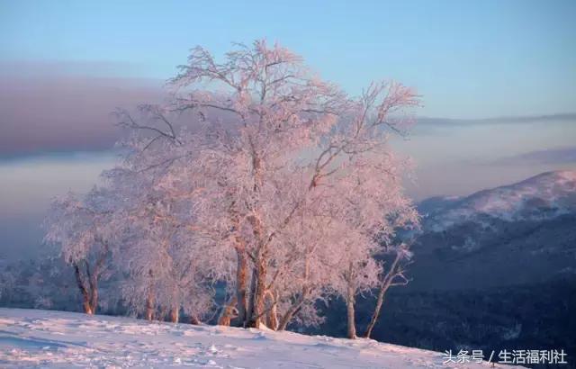 哈尔滨与人民有关的标志,哈尔滨标志性符号