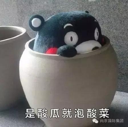 吃货的世界观,吃货的爱情观完整版