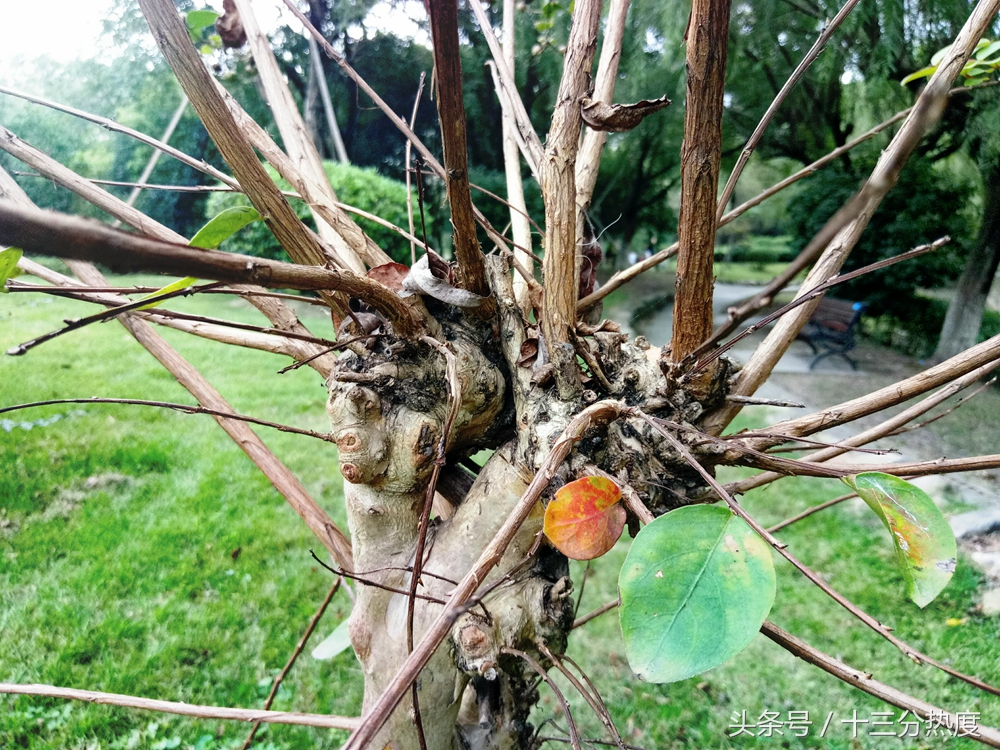 魅蓝手机u20深度评测,以前的iphone4s