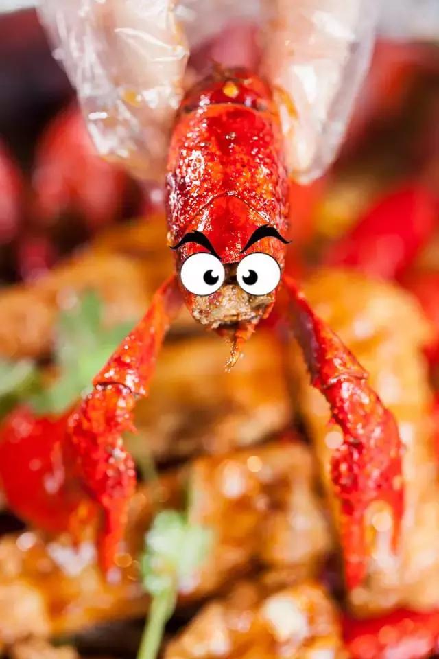 老板壕打5.8折，​全年无休摄魂小龙虾，逼爆头我都要吃到Ta