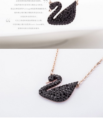 黑天鹅为什么那么火,黑天鹅为什么火