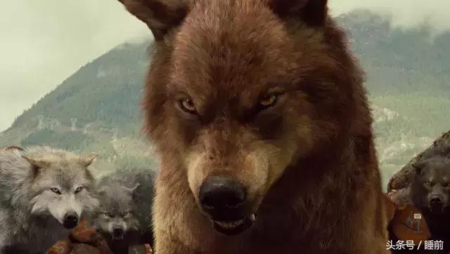 万圣节的趣味介绍,关于万圣节的趣味问题