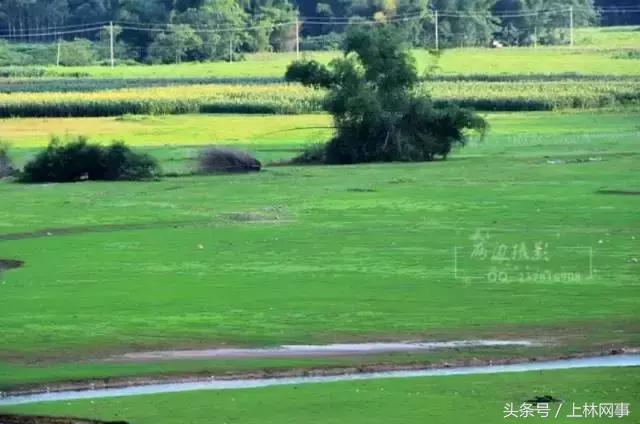 上林哪里有好玩的风景,上林风景最美的景区