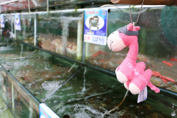 三亚最美的地方在哪里,三亚世界上最美的海在哪里