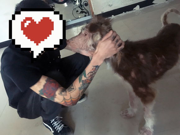 我的阿拉，即使你这辈子不长毛了，我也养你！