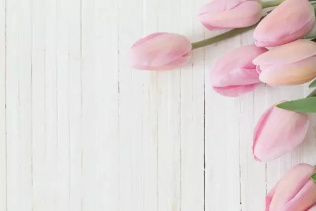 十年许嵩千古绝唱完整版,十年许嵩如约而至