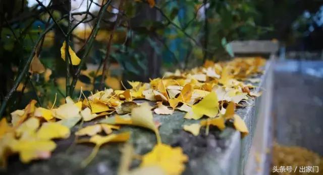 “乐活”青岛,“山居”生活,附上青岛必游之地和住宿指南!