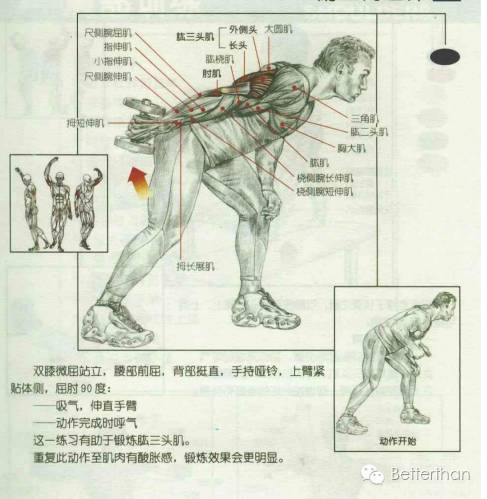 最全哑铃教学,手臂哑铃肌肉训练10个动作图解