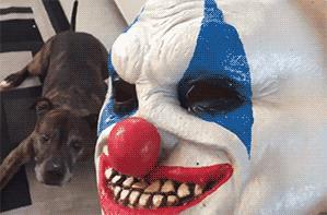 鑰佹箍瀹炲喌瓒崇悆鎼炵瑧瑙嗛,鑰佹箍瑙ｈ瓒崇悆鎼炵瑧瑙嗛