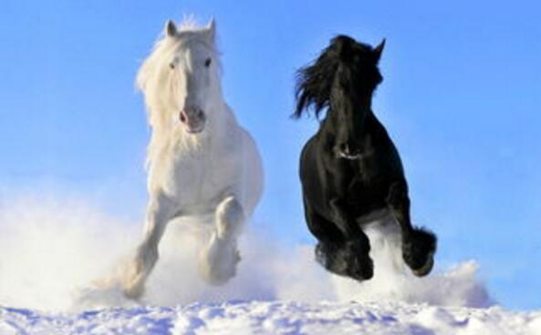 干货：如何选择创业方向？