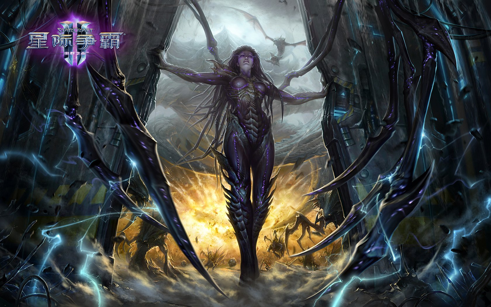 刀锋女王凯瑞甘的前世今生,身逢乱世,何以为情!