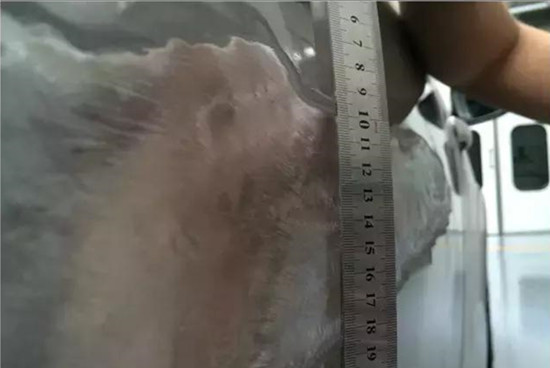 划痕补漆的最好方法,小划痕补漆最简单方法