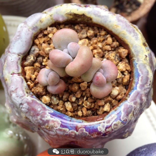 谈谈我的看法和感想,谈谈我对自己的看法