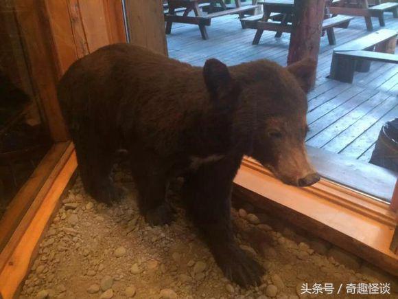 在美国旅游日常,在美国旅游攻略大全最新