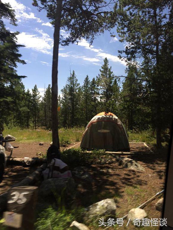 在美国旅游日常,在美国旅游攻略大全最新