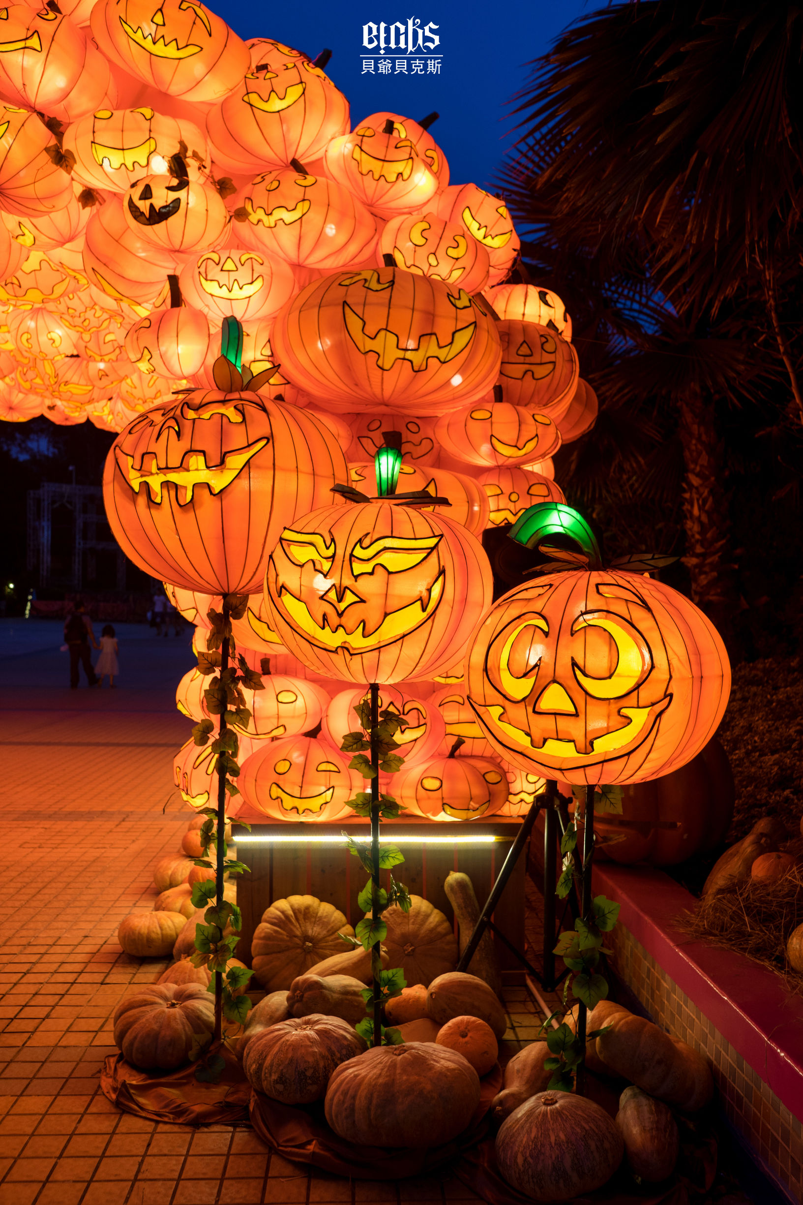 长隆万圣节神奇之旅,去长隆万圣节怎么跟鬼拍照