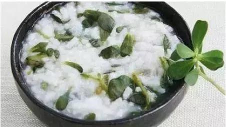 亦菜亦药马齿苋，清热凉血可止痢