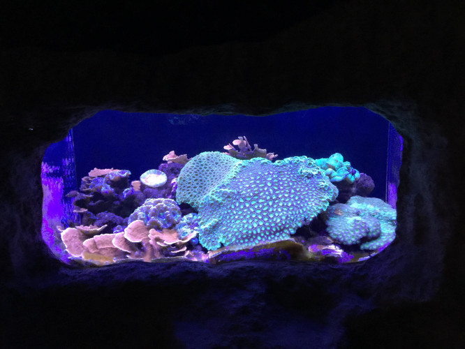 初秋日本快步东京，慢行北海道，泡汤美食8日