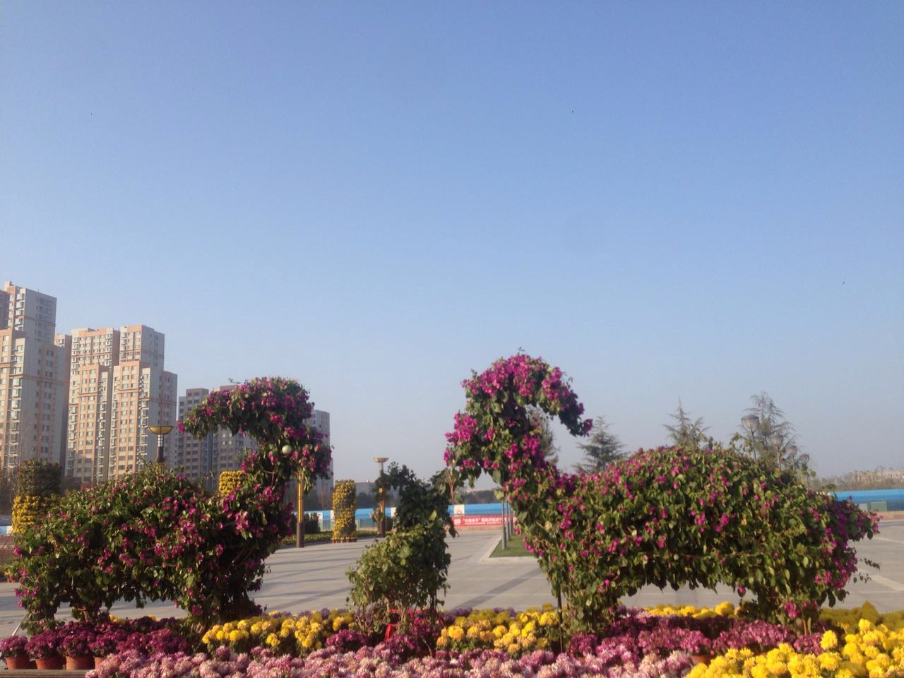 理工男跳啦啦操视频,啦啦操舞蹈视频理工男