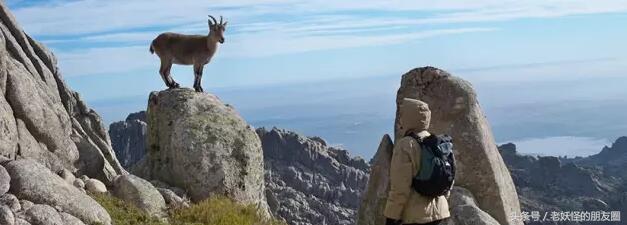 马德里必玩,西班牙马德里怎么玩