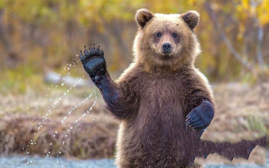 天气转冷的温泉,天气冷了泡温泉