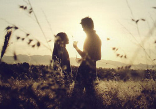 拾日,拾日谈最新视频